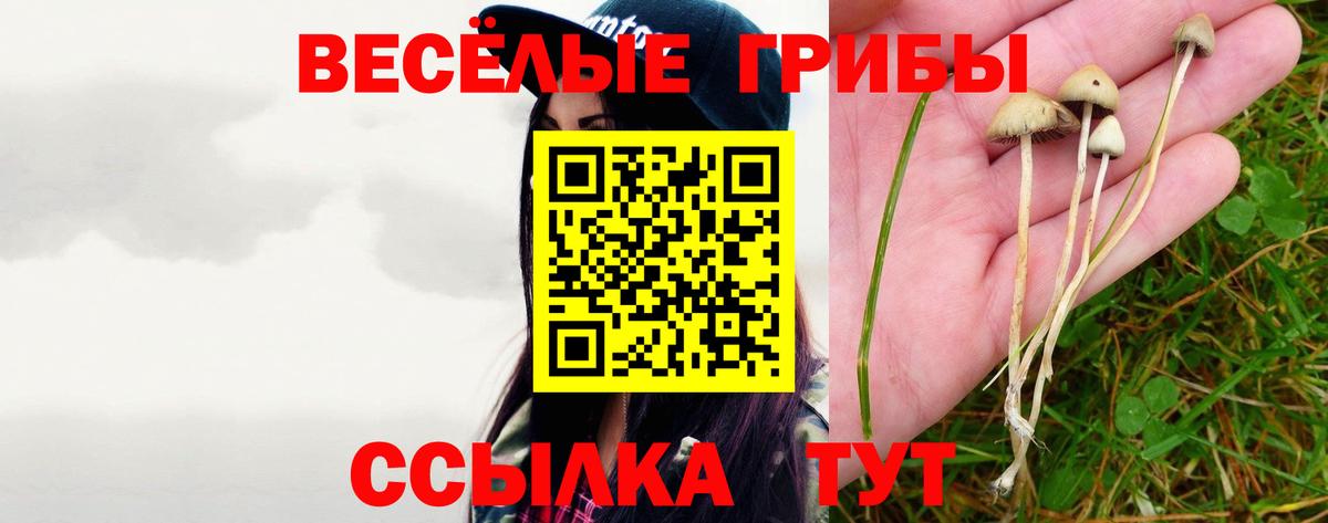 Галлюциногенные грибы GOLDEN TEACHER  Вход с VPN  Псилоцибиновые грибы MAGIC MUSHROOMS  Ейск 