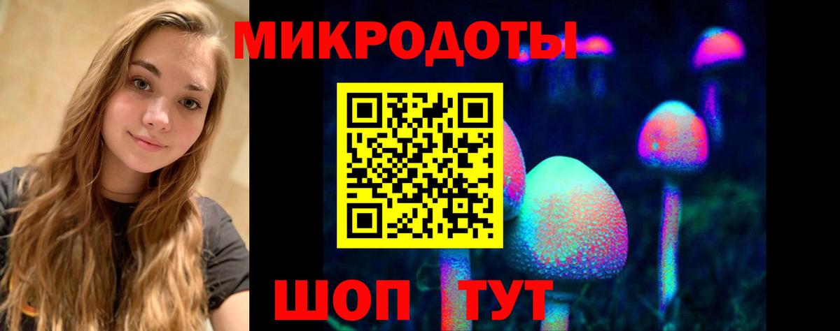 Псилоцибиновые грибы GOLDEN TEACHER Ейск